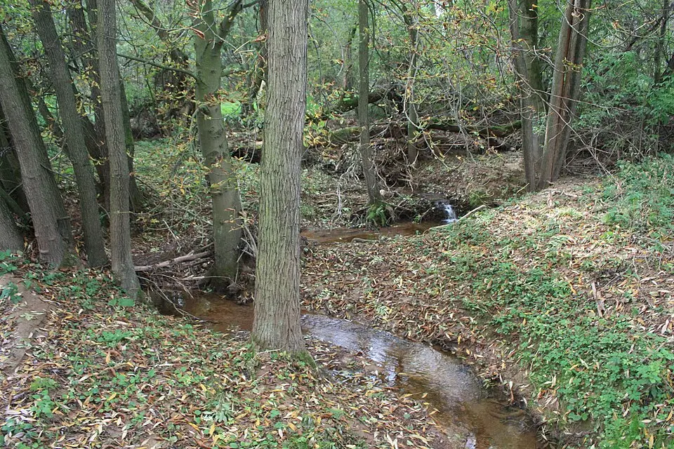 Stockbach