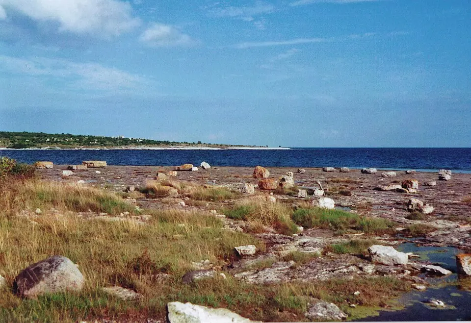Ytterholmen