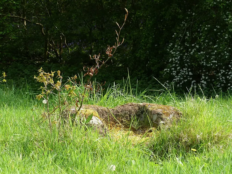 Marton moated monastic grange, three fishponds, connecting channels and base of stone cross