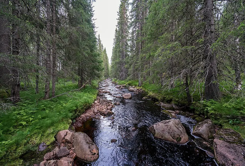 Stopån