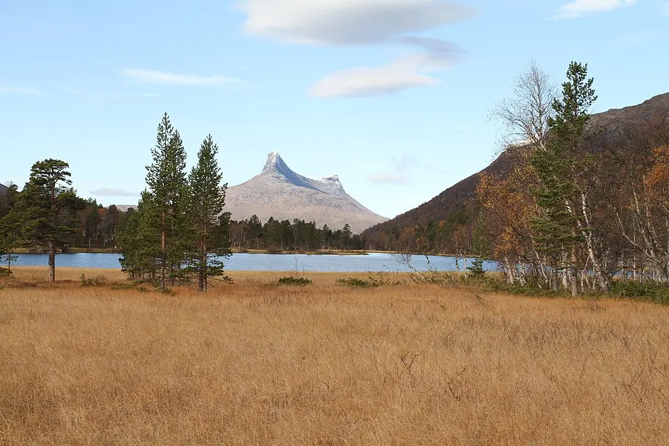 Stor-Graddis naturreservat