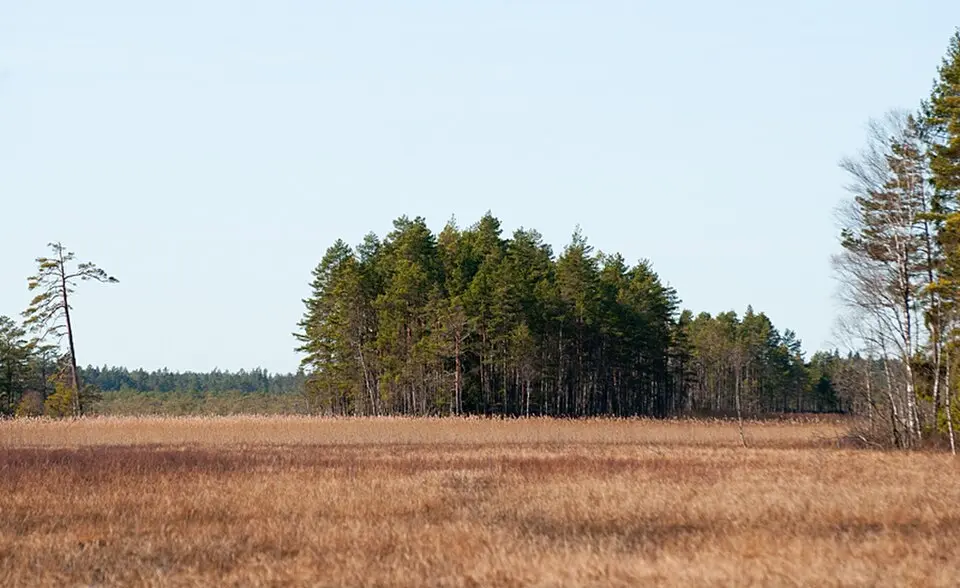 Stora Bötets naturreservat