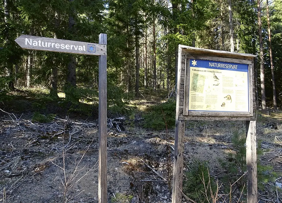 Stora Envätterns naturreservat