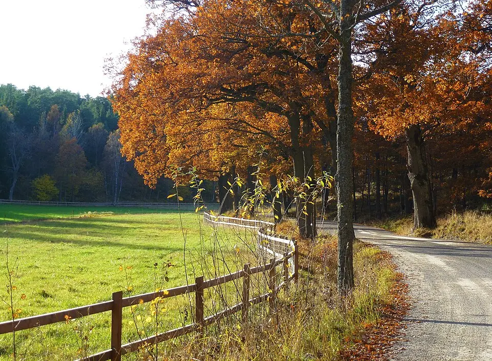 Nyckelvikens naturvårdsområde