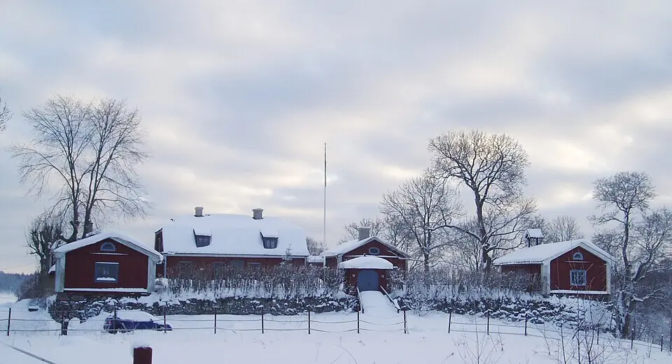 Stava