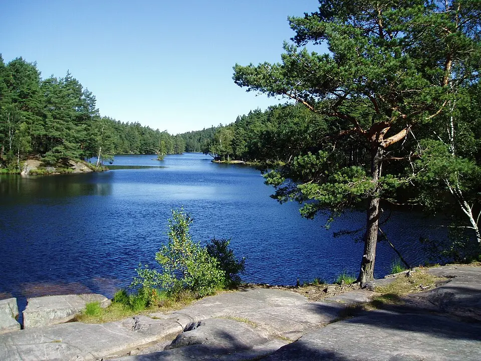 Vättlefjälls naturreservat