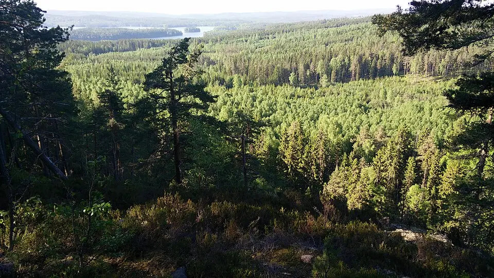 Tvärstupet
