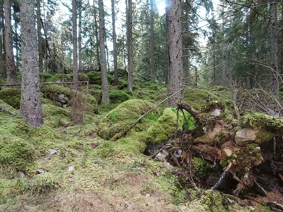 Stora Uringe