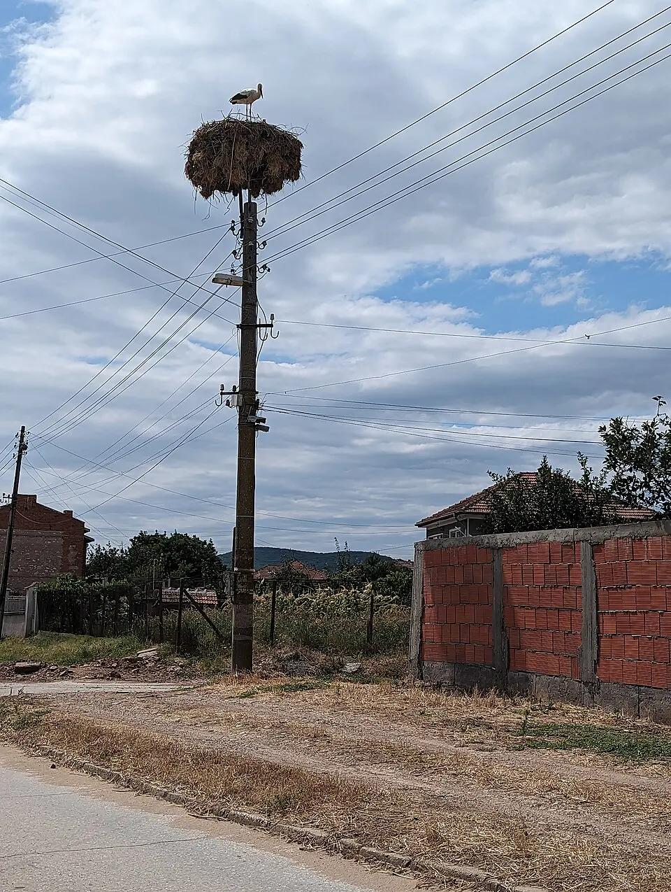 Лозен