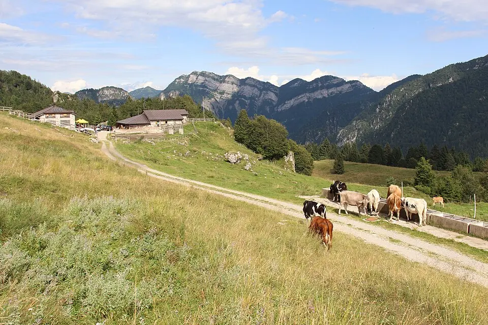 Rete di riserve Alpi Ledrensi