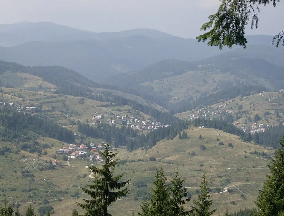 Стойките