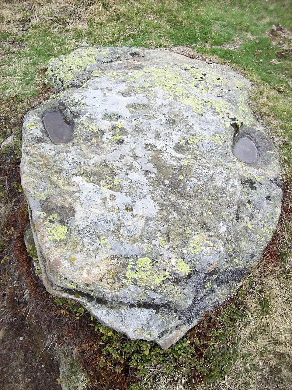 Bild: Krenn Herbert · CC BY-SA 3.0 AT Schalensteine