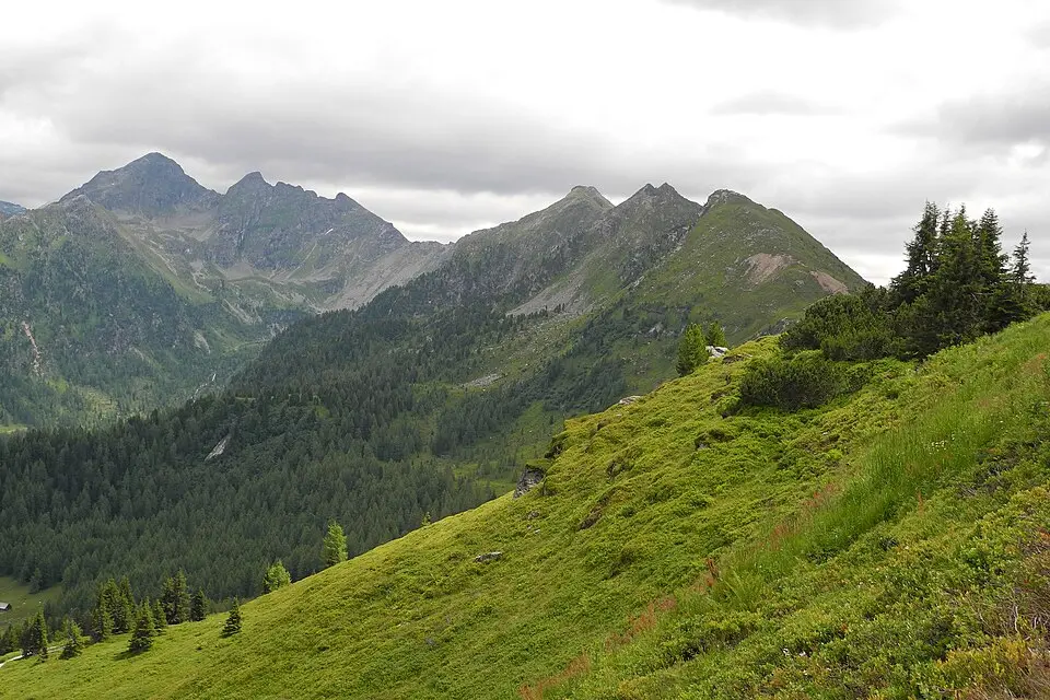 Krahbergzinken