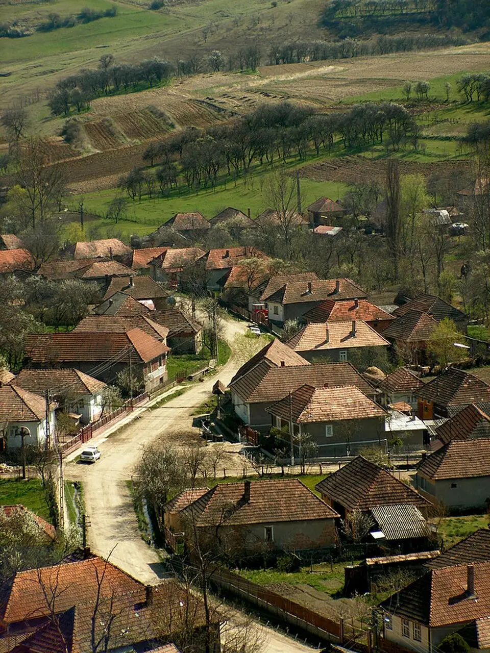 Stâna
