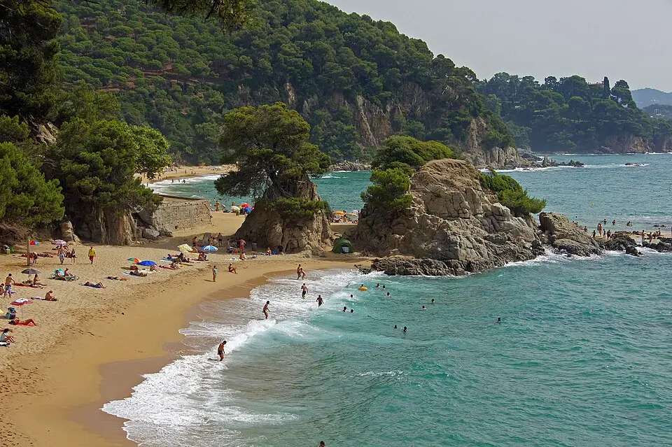 Playa de Treumal