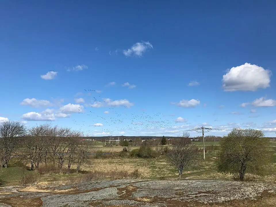 Bråvalla