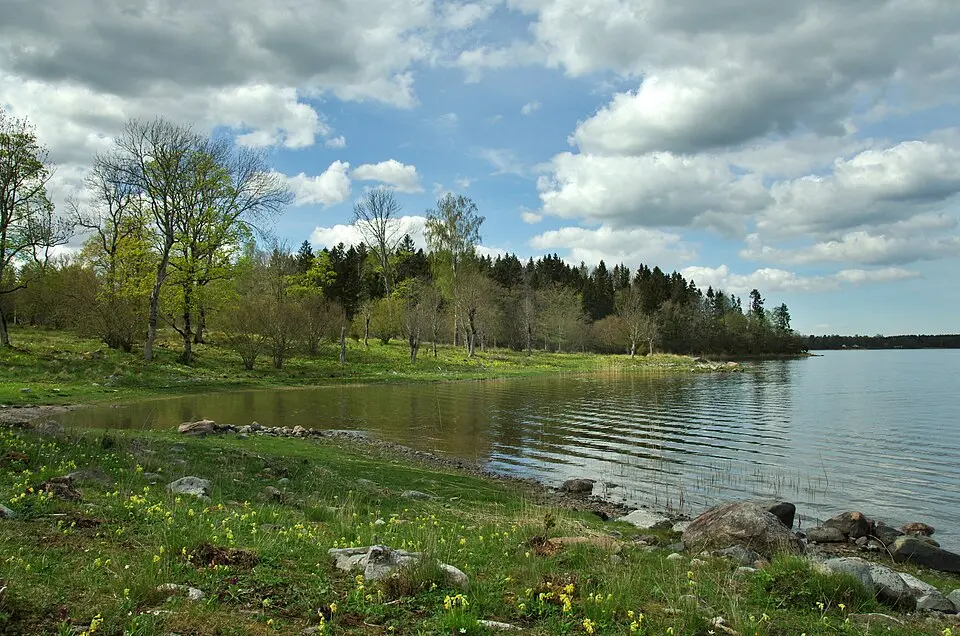Rörviks naturreservat