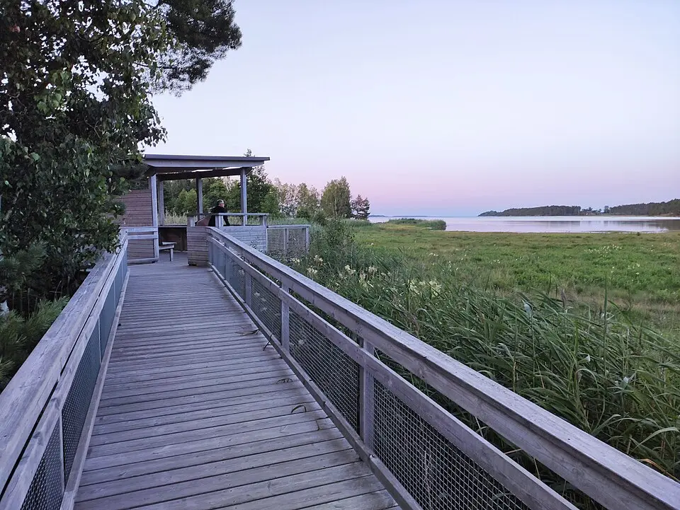 Strandstuvikens nya fågeltorn