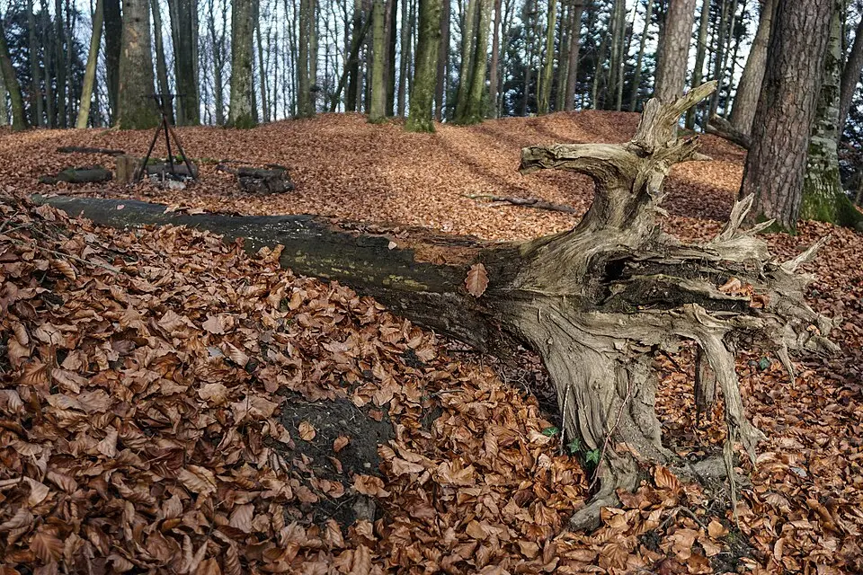 Burgstelle Strassberg