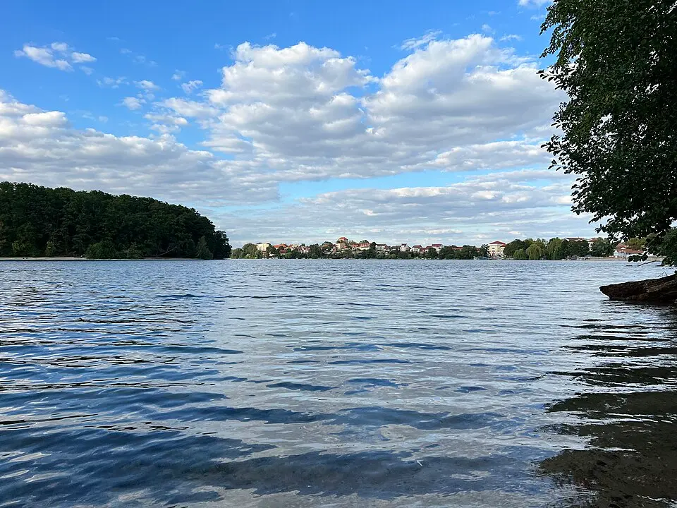 Straussee