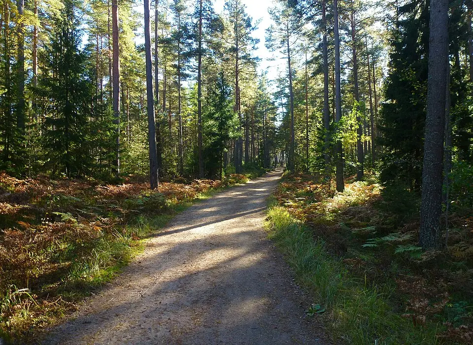 Bild: Holger.Ellgaard · CC BY-SA 4.0 Strålsjön-Erstavik