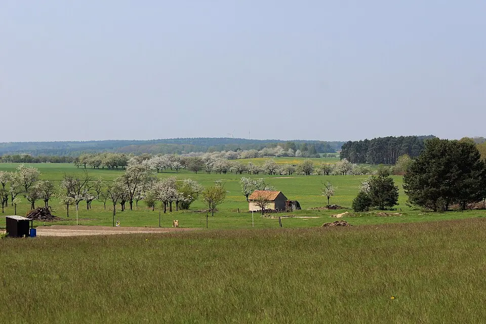 Naturpark Niederlausitzer Heidelandschaft