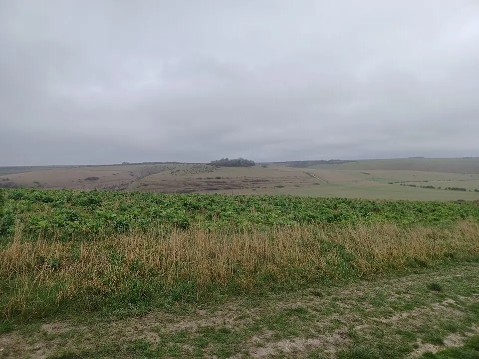 Strip lynchets south of Bigbury Wood