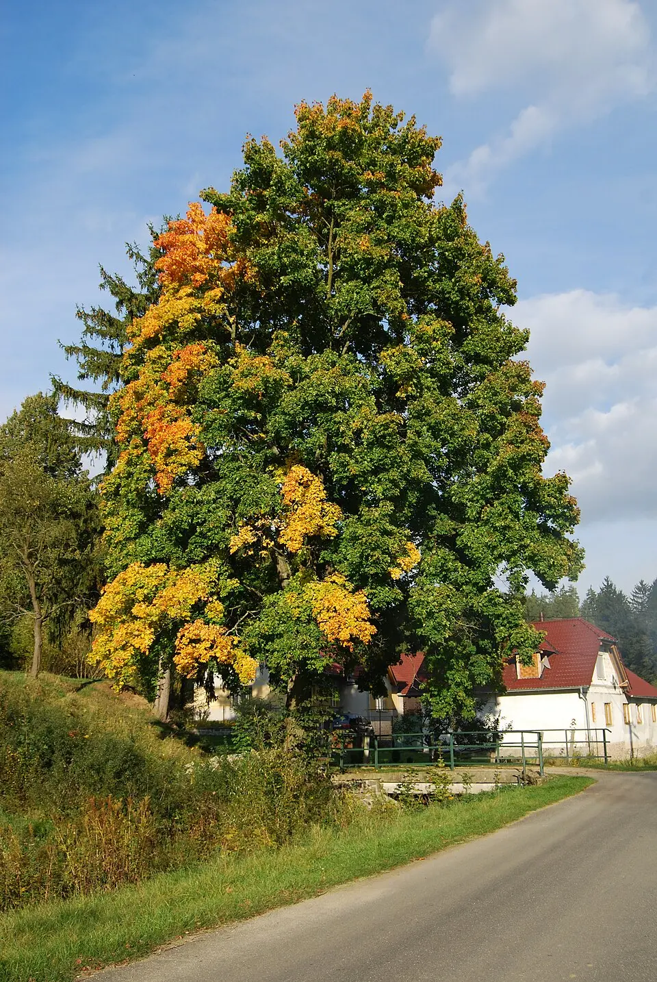 Image: Richenza · CC BY-SA 3.0 Struhy