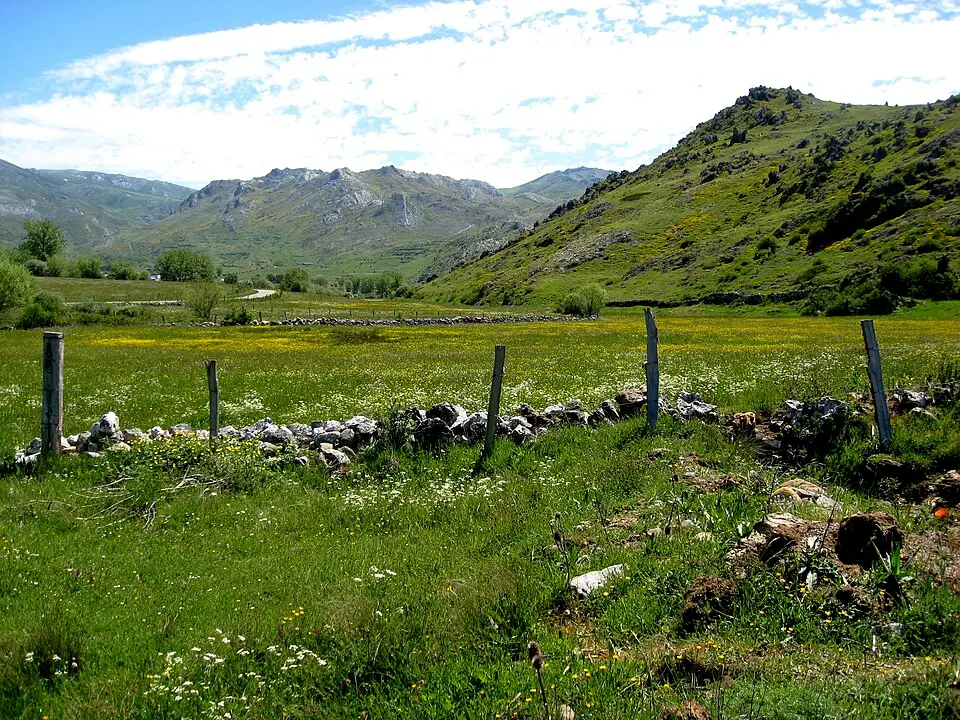 Babia