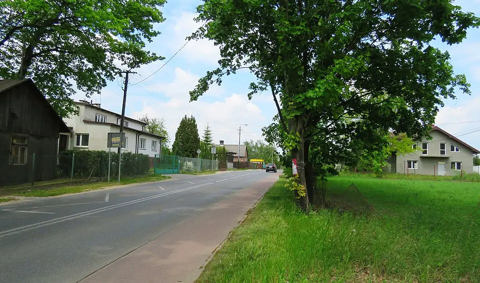 Strzeniówka