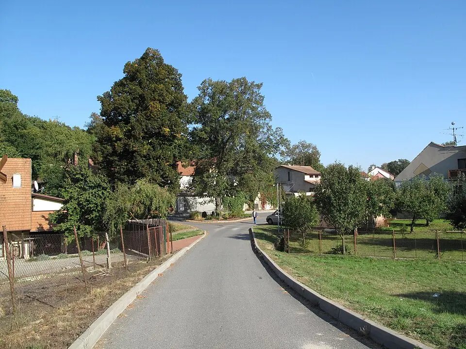 Babice u Rosic