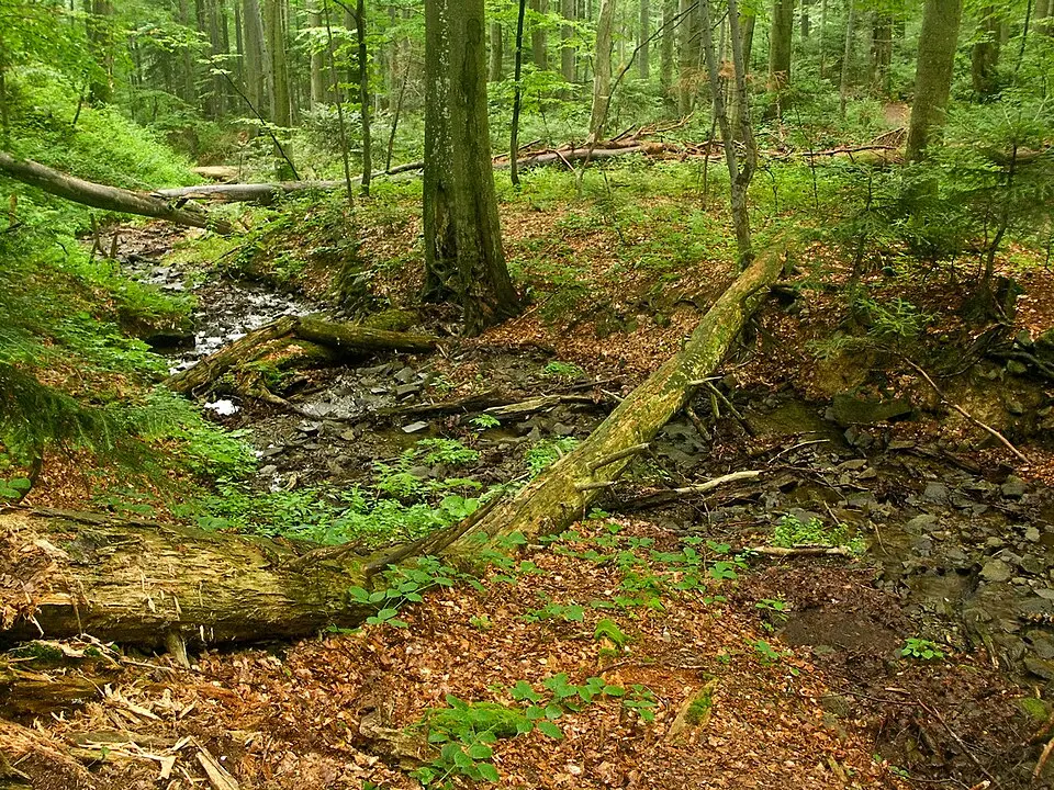 Nationales Naturreservat Stužica