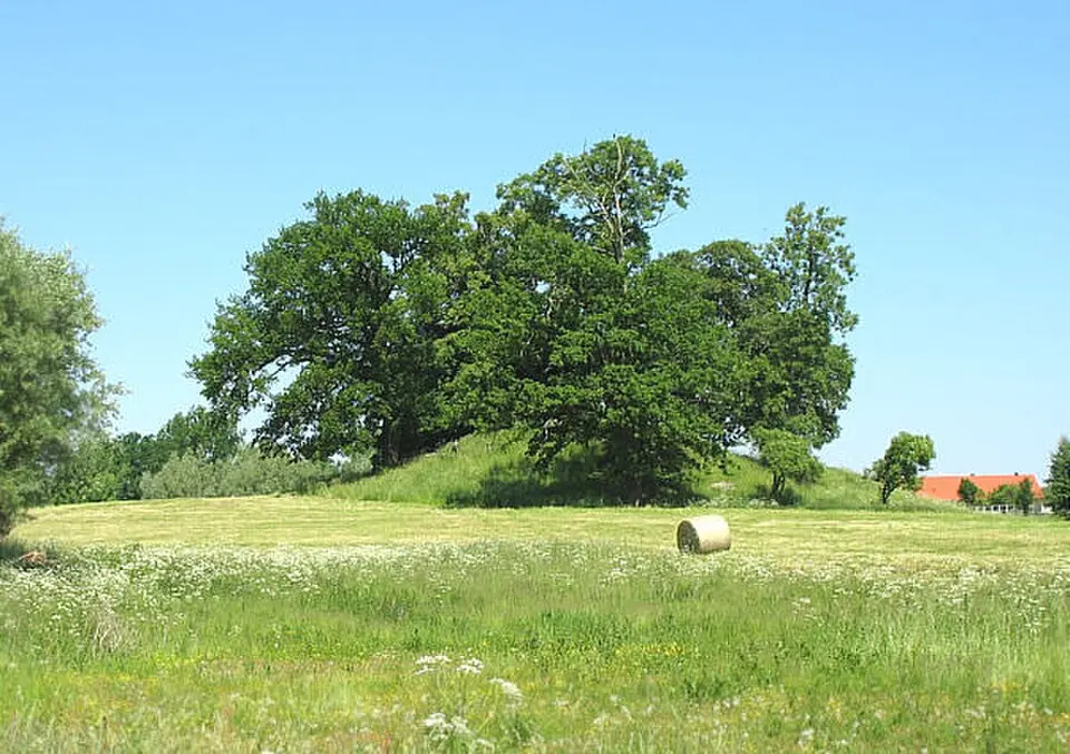 Turmhügel Stuer