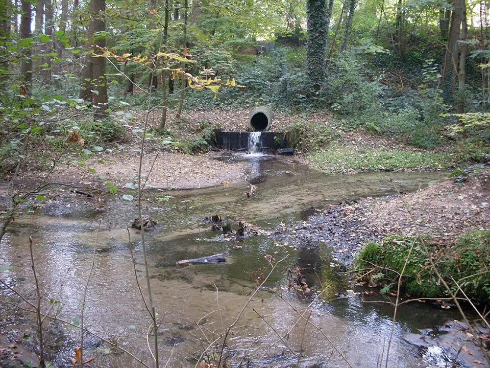 Schnakenbach