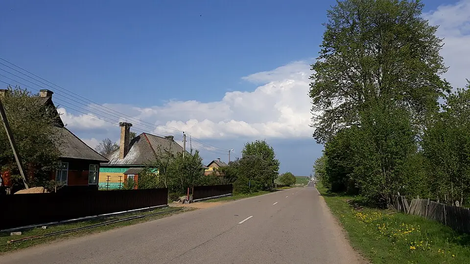 Бабраўнікі