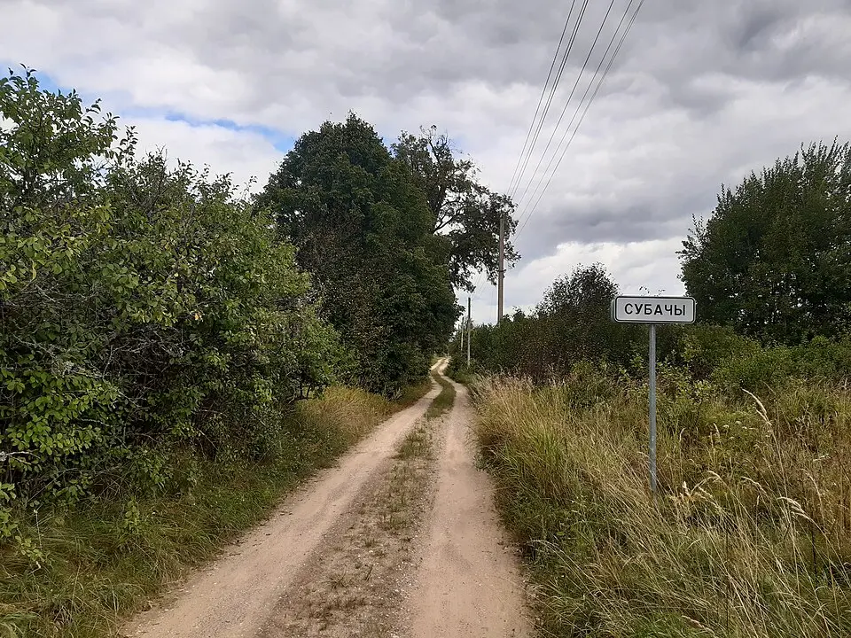 Субачы