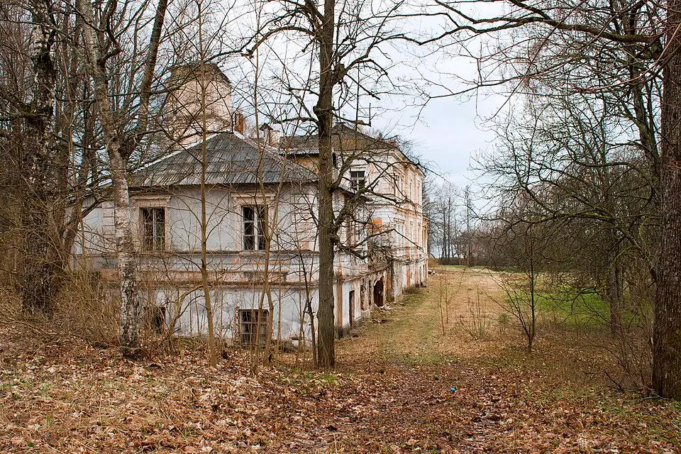 Suži