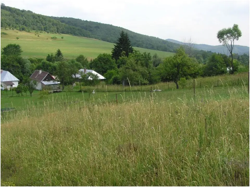 Suchá, Vladiča