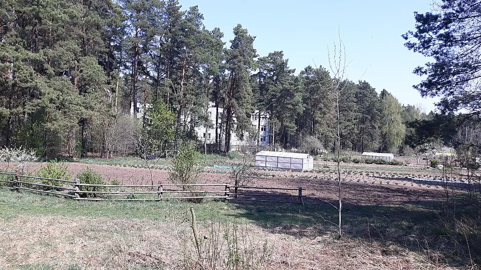 Suchaparaŭščyna
