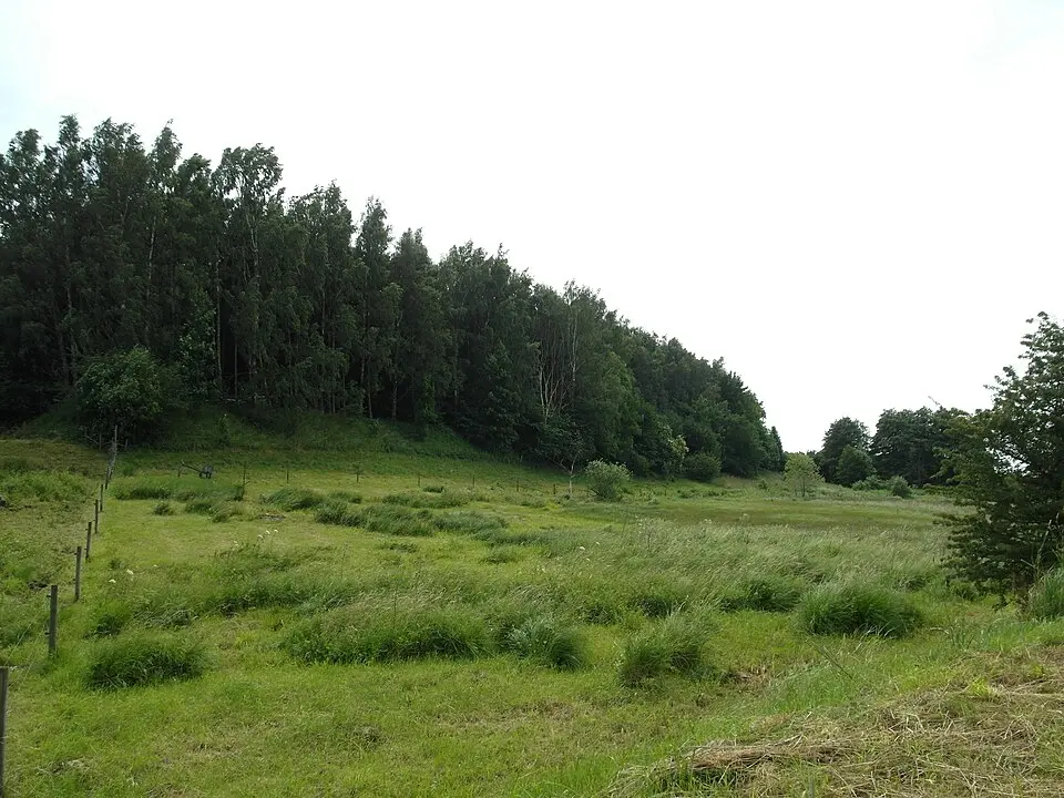 Sularpskärret