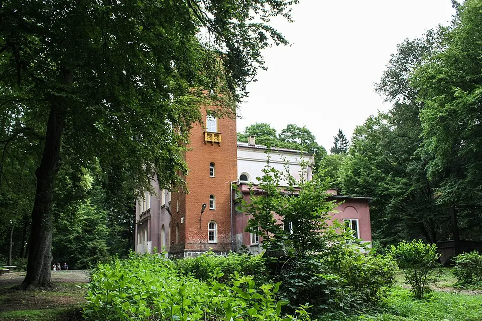 Park pałacowy z aleją grabową