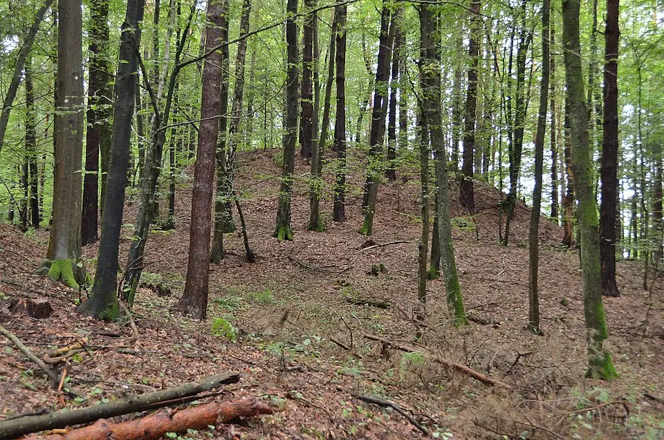 Siedlung und Nekropole der Hallstattzeit auf dem Burgstallkogel
