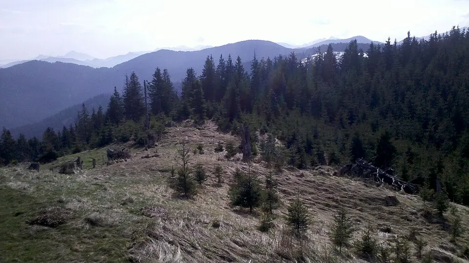 Kép: Wasquewhat · CC BY-SA 3.0 Sulzkopf