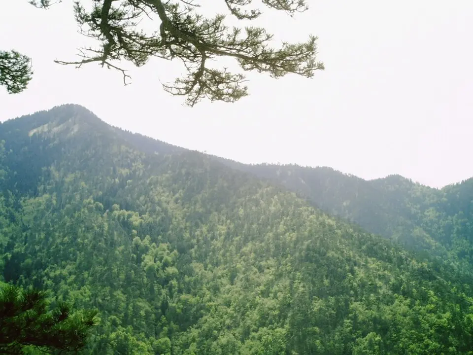 Konjuh (planina)