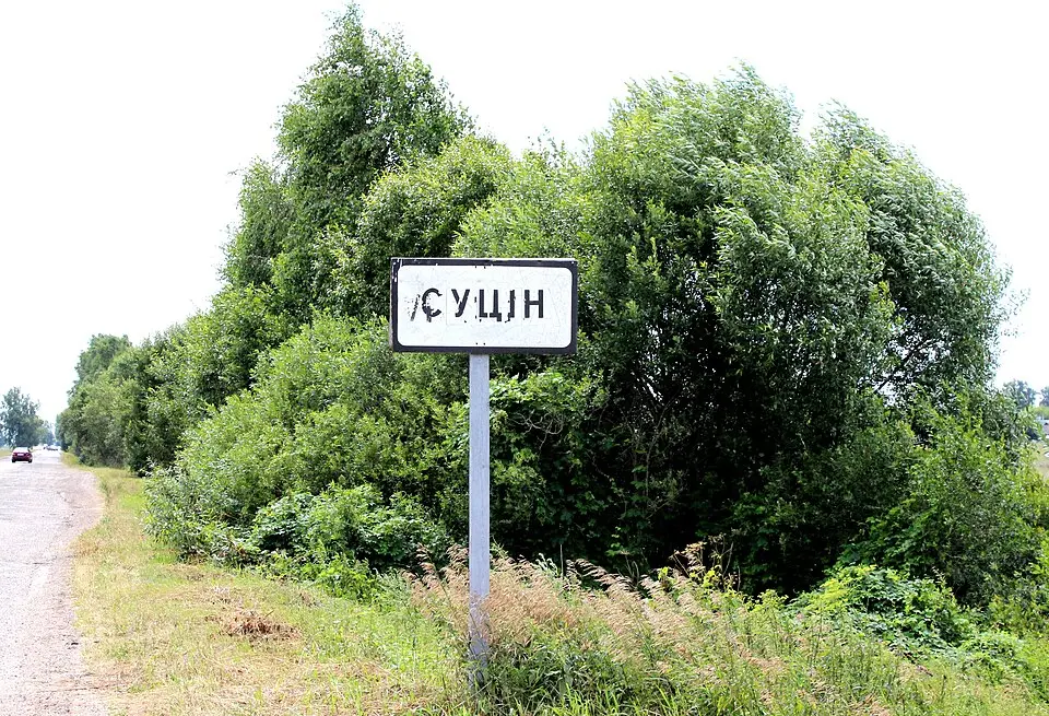 Суцін