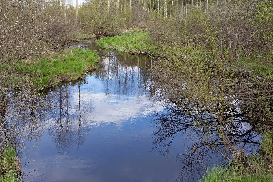 Svartån