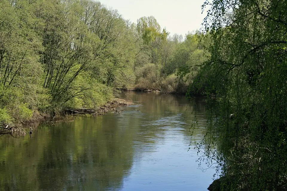 Svartelva