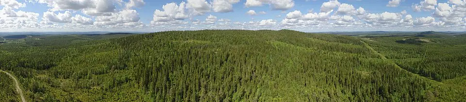 Svartliden-Whitberget