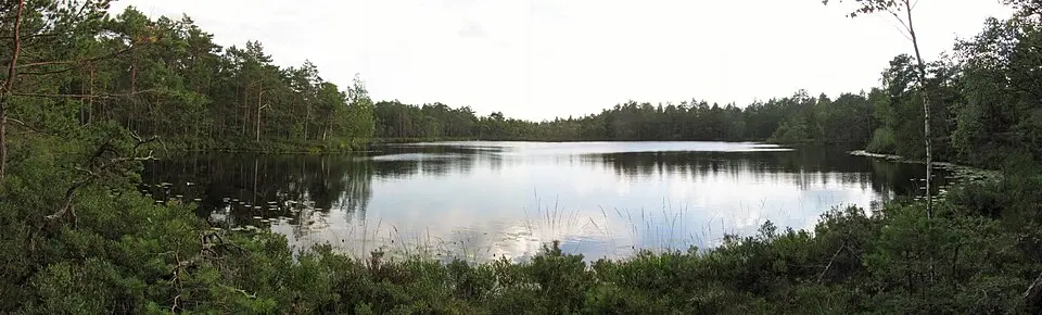 Svartsjön