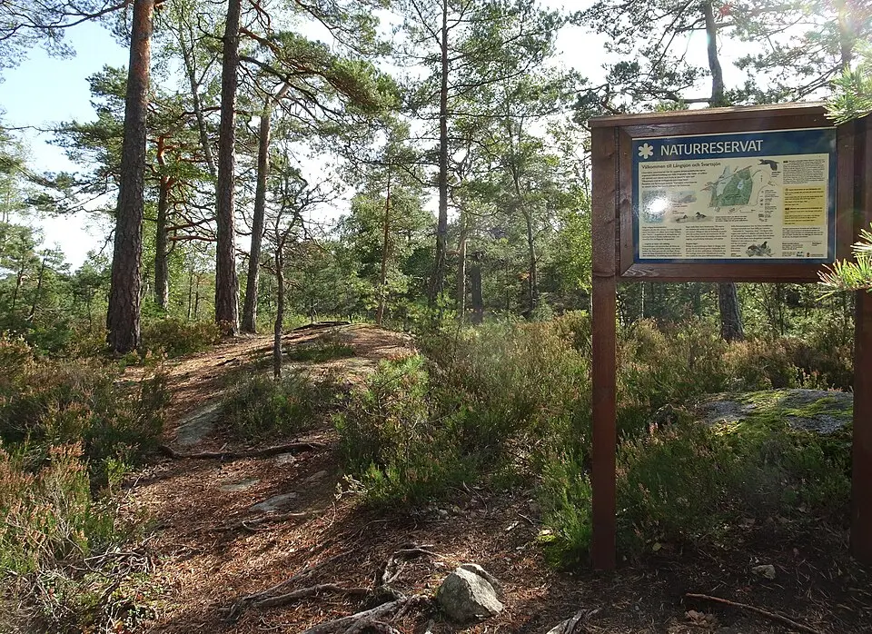 Svartsjöns naturreservat